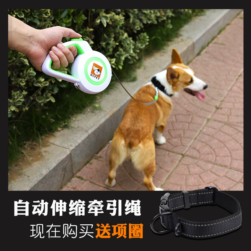 Manufacturer Wholesale Custom logo 3M 5M Retractable Dog Leash-124