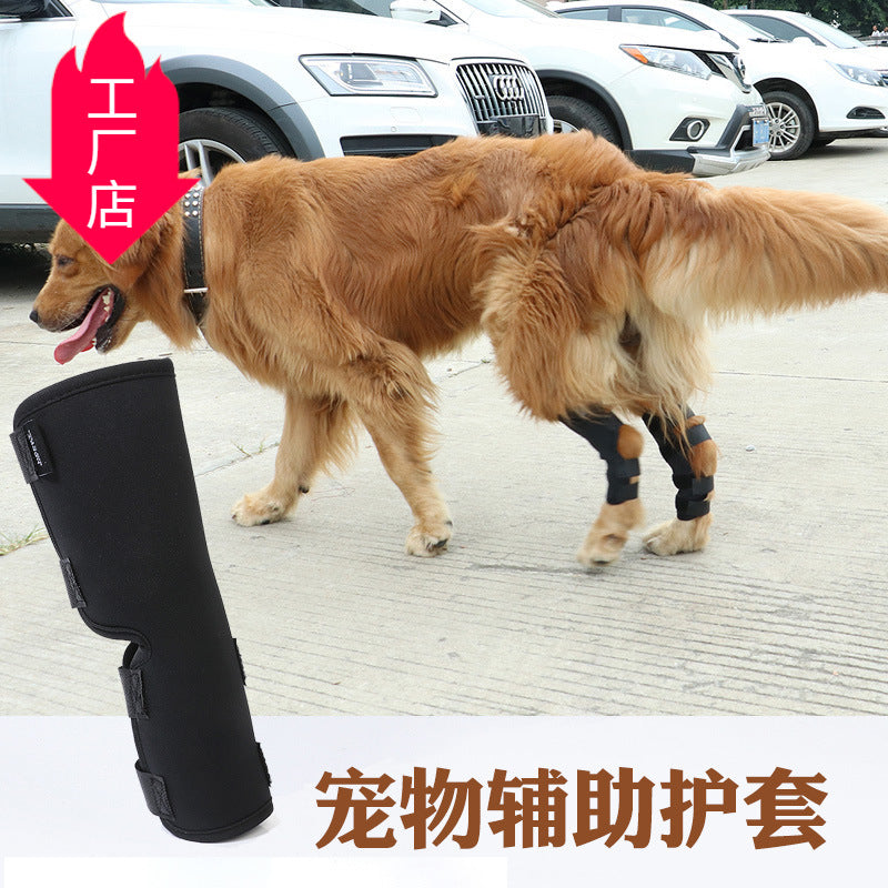 High Quality Pet Supplies Dog Knee Pads Breathable Post-operative Recovery Strap Leg Brace for Dog Protect Joint Pet Accessories-18