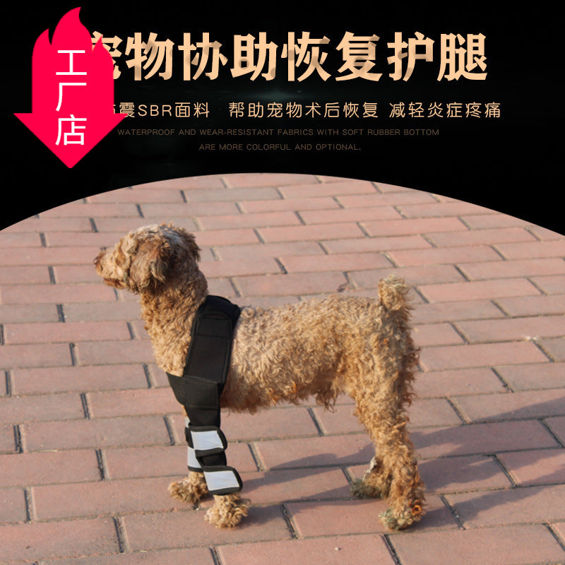Neoprene Dog Knee Brace for Hind Legs Pet Leg Injury Protective Gear Healthcare Supply-133