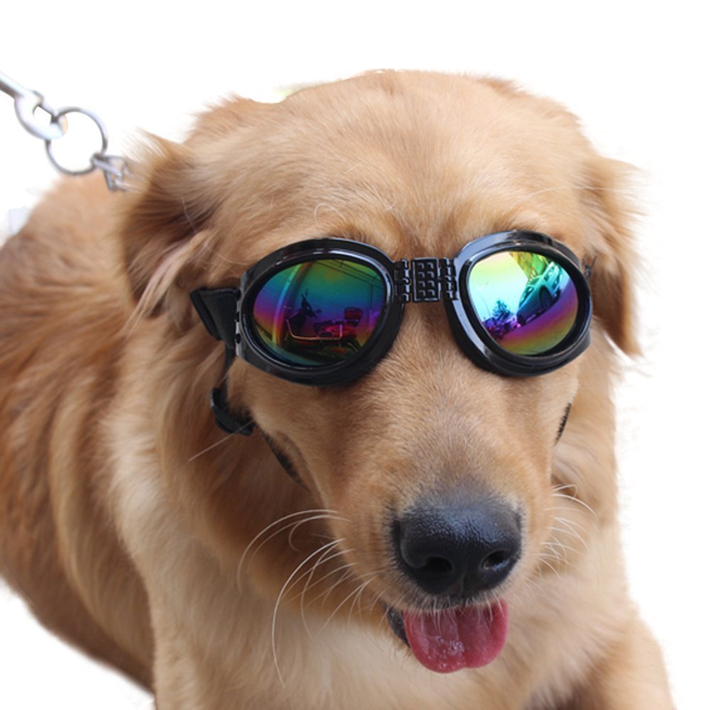 Latest Pet Glasses Plastic Foldable Dog Sunglasses Windproof Dog Sunglasses No reviews yet Ready -25
