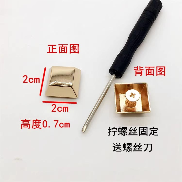 Screw mounted simple shiny shoe buckle with diamond for ladies shoes-118