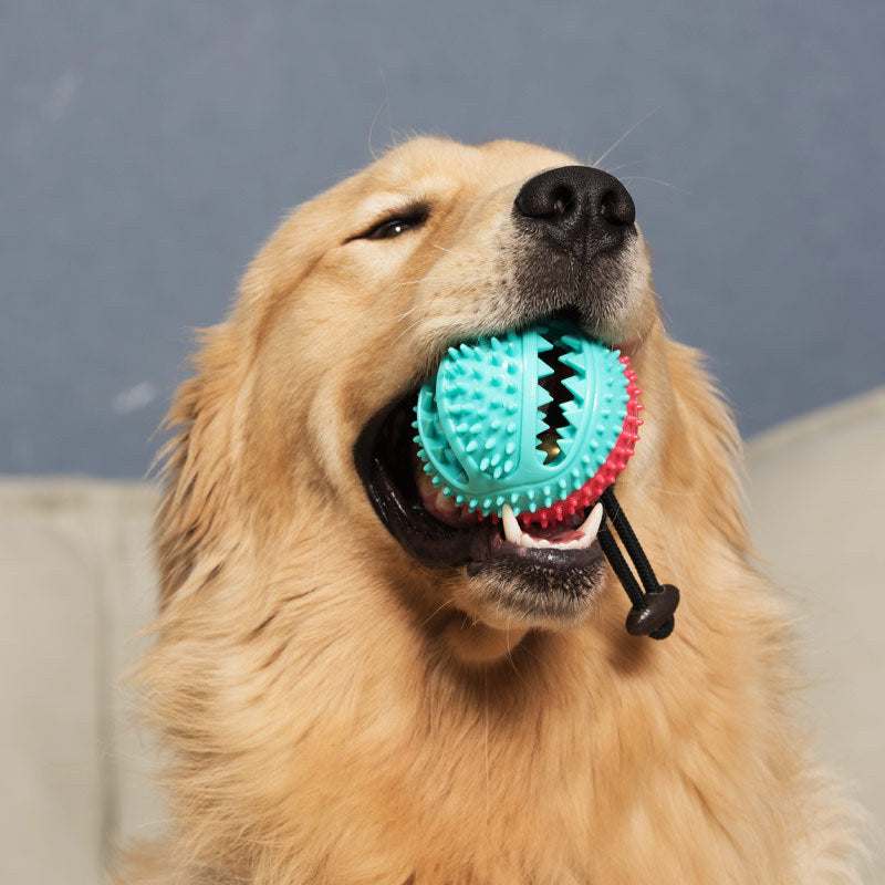Pet Toy Soft Rubber Ball Chew Toys Tooth Cleaning Leakage Food Dog Chew Balls-83
