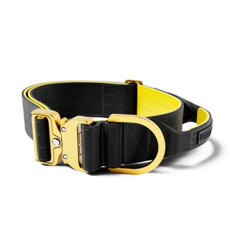 Aluminum d ring buckle triangle d ring for bag strap and pet accessories-5