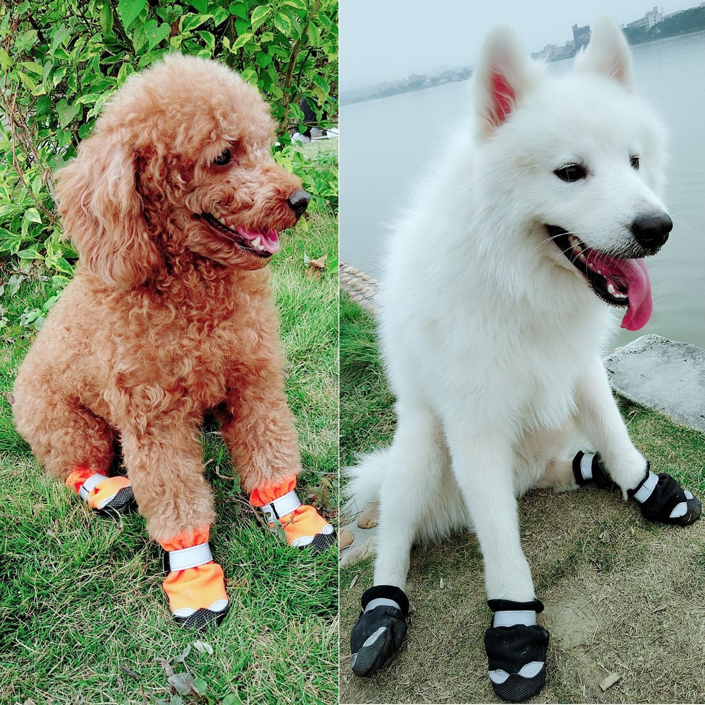 Factory Direct Selling Pet Shoes Warm Waterproof Dog Foot Winter Dog Shoes Zapatos Para Mascotas De Venta Directa De Fabrica-19